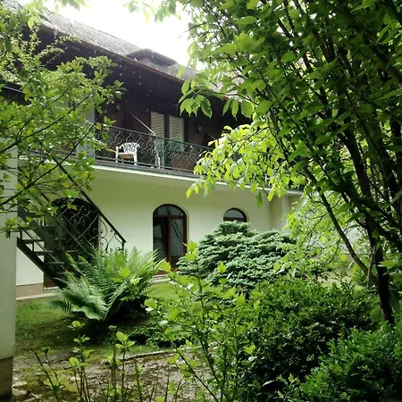 Hotel Gruenes Tuerl 3*