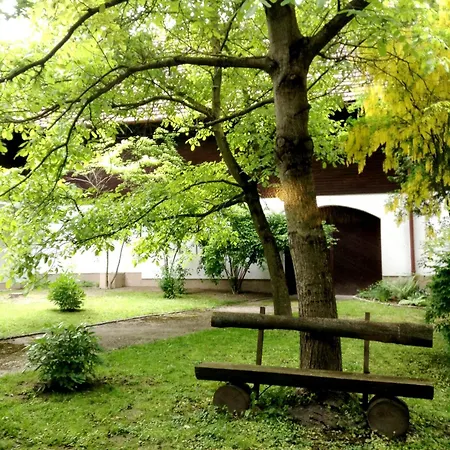 Отель Hotel Gruenes Tuerl