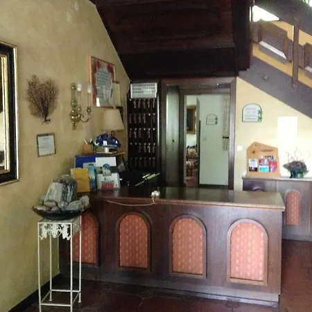 Отель Hotel Gruenes Tuerl Бад-Шаллербах