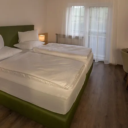 Gruenes Tuerl ホテル 3*