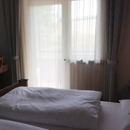 Отель Hotel Gruenes Tuerl 3*