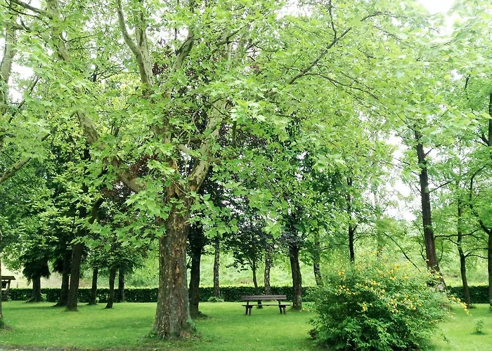 Gruenes Tuerl Otel 3*