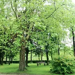 Grünes Türl Otel 3*